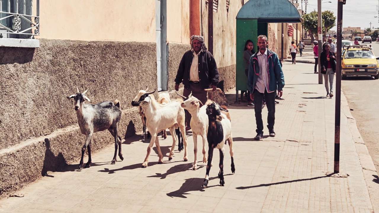 eritrea 07
